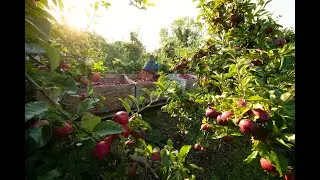 BAPL responds to Andrew Opie's comments on BBC Countryfile
