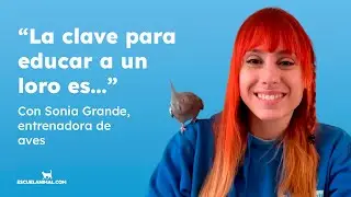 Claves para entrenar a un loro en casa con Sonia Grande 🦜 Escuelanimal