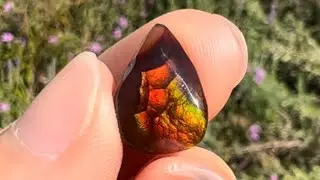 6.71ct Blood Red Fire Agate Stone &mdash; Pear Shaped | OpalPop