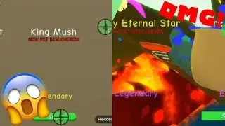 Top 3 people hatched a Shiny Eternal Star and King Mush on camera!!!
