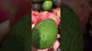 Detalhei tudo que voc&ecirc; precisa olhar pra comprar o melhor avocado!