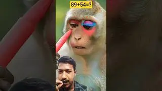 monkey bridal makeup #funny #viralvideo #shorts