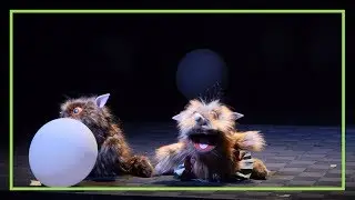 Ronja R&oslash;verdatter: Musikvideo (s&aelig;son 2019/20)
