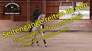F61 Die Traversale: Im Trab und Galopp gezeigt und erklärt! Seitengänge mit Pferden richtig Reiten
