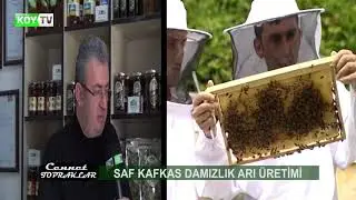 MACAHEL ARICILIK ! Cennet Topraklar