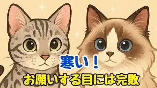 お外の空気が大好きな猫たち