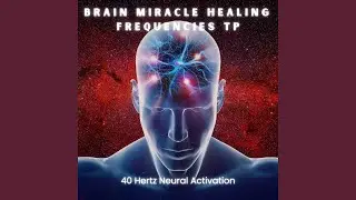 40 Hz Frequencies for Brain Connectivity
