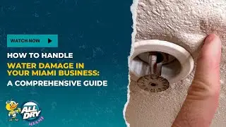 How to Handle Water Damage in Your Miami Business: A Comprehensive Guide