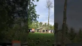 Tree Dismantling in Bishops Cannings