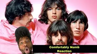 Best song ever??? | Pink Floyd - Comfortably Numb (Reaction)