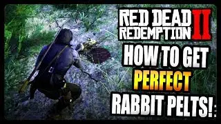 Red Dead Redemption 2: How To Get PERFECT Rabbit Pelts!