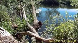 Eddy's  Fishing In Norfolk
