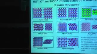 In situ spectroscopic studies of metal oxide electrodes during water oxidation
