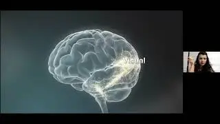 Brain Development in Early Childhood Education