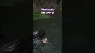 Is that a seal!? #gaming #thelastofus #thelastofus2  #twobrosnobrains