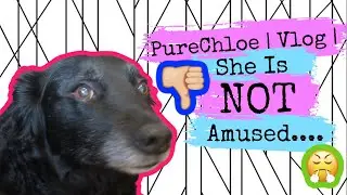 PureChloe | Vlog | She Is NOT Amused....