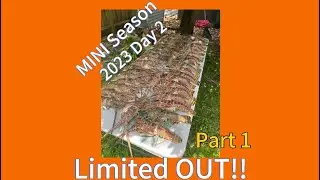 Mini Season Day 2 2023 Miami PART#1