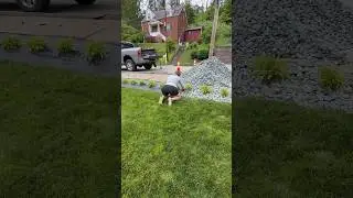 Mulch is trash, adding Black Granite Stone. #shorts  #landscape  #work