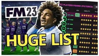 30x Absolute Bargain FM23 WONDERKIDS