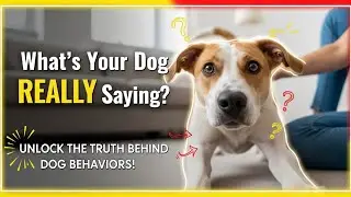 What Your Dog's Stretching REALLY Means &ndash; Uncover the Secret Behind This Behavior 