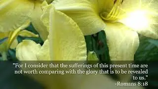 Please. Stay Strong In These Troubled Times! - Daily Devotional