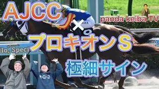 【AJCC】&times;【プロキオンスS】2026〜極細サイン到来🔥panda keiba TV