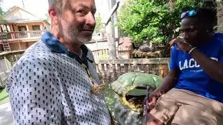 We went to Gator Golf Adventure Park!