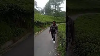 tea garden #darjeeling_tour #nature #trending #sikkim 2025