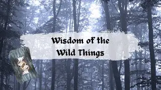 Wisdom of the Wild Things Oracle | Walkthrough