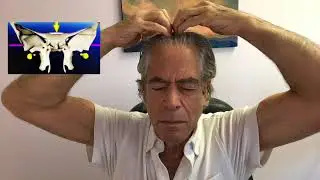 Bee Breath (Bhramari) and Pituitary Stimulation