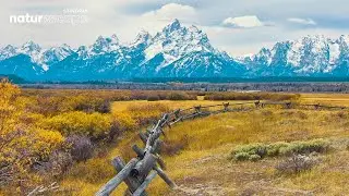 Magnificent Cabin View Of The Mountains At The Teton National Park | Ambient Nature Sound (NO MUSIC)