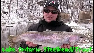 Lake Ontario Winter Steelhead & Trout