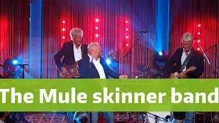The Mule Skinner Band -  I hear you knockin