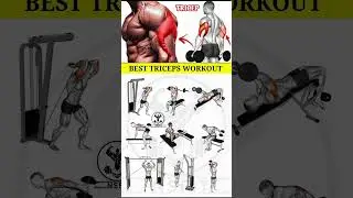 Top Fitness Expert Reveals 3 BEST Triceps Techniques