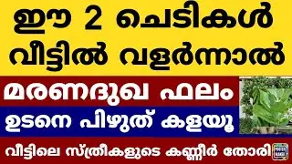 വീട്ടിൽ ഈ ചെടികൾ വളർത്തിയാൽ ആ വീട്ടിലെ  സ്ത്രീകളുടെ കണ്ണീർ തോരില്ല വീടിന് വാസ്തു ദോഷം Vasthu Astro