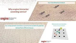 engine biomarker screening service with protein arrays
