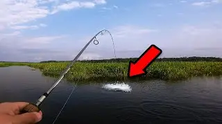 Cooper River Bass Tournament | Working Mans Tournament 2023