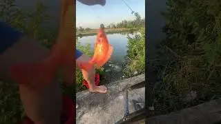 Рыбалка в сельской местности | Отдых вдали от социальных сетей