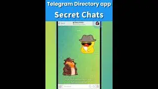 Telegram Directory App Provide More Tags for Free Channel Marketing &ldquo;Secret Chats&rdquo;