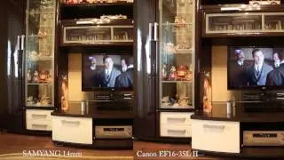SAMYANG 14 vs Canon EF 16-35L II_2