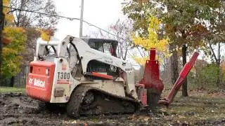 How to Transplant a Tree with a Tree Spade