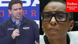 'Somehow She's The Victim?': DeSantis Lays In To Claudine Gay After Resignation As Harvard President