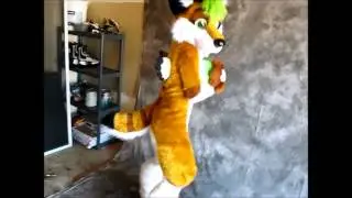 Confession Fursuit