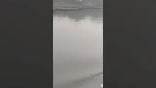 VID 20210225 092058