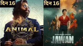 Animal Vs Jawan Worldwide Collection Day 16 l Animal Official Day 16 Collection #animal #jawan