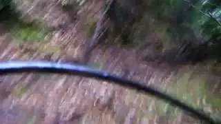 Big Dummy Downhill