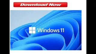 How to Download Windows 11 & Install Windows official