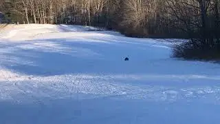 Wooden runner sled run
