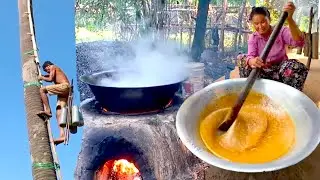 From Tree to Sugar: Watch This Man Collect Palm Water for Palm Sugar!