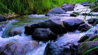 Mountain River Flowing Water Sounds for Focus and Study, Natural White Noise Ambience